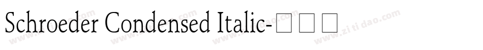 Schroeder Condensed Italic字体转换